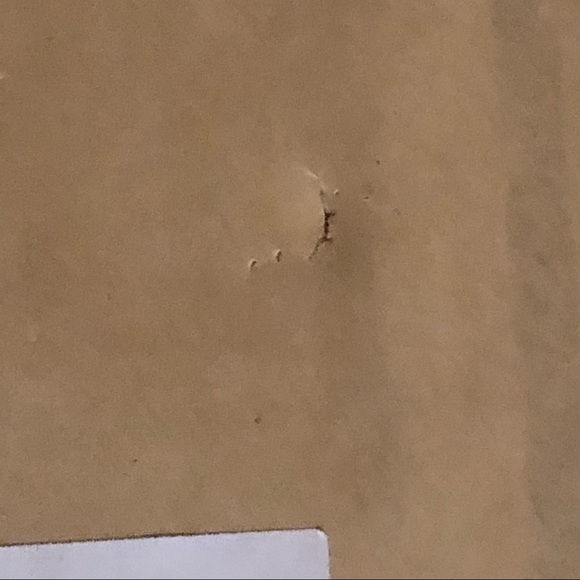 Y2K happiness is like a butterfly Nathaniel Hawthorne framed quote - Picture 7 of 7